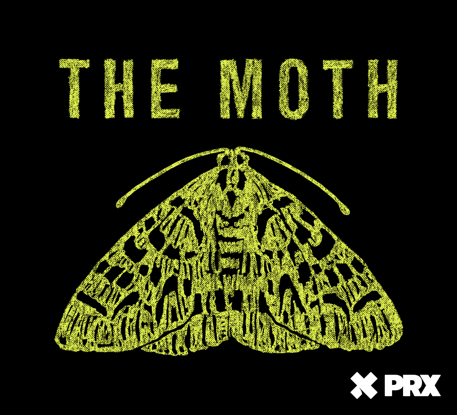 NPR Moth Radio Hours: Unveiling Exclusive Program Insights